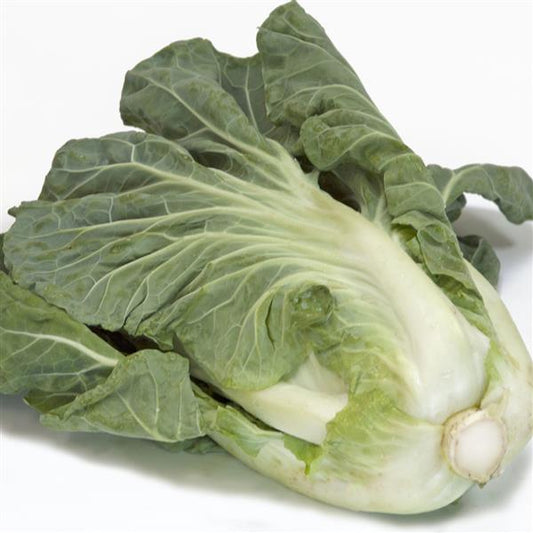 1,000 Cabbage Seeds Sweet Thang Vegetable Seeds