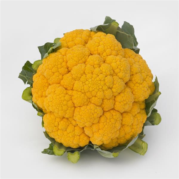 Cauliflower Seeds Clementine Vegetable Seeds