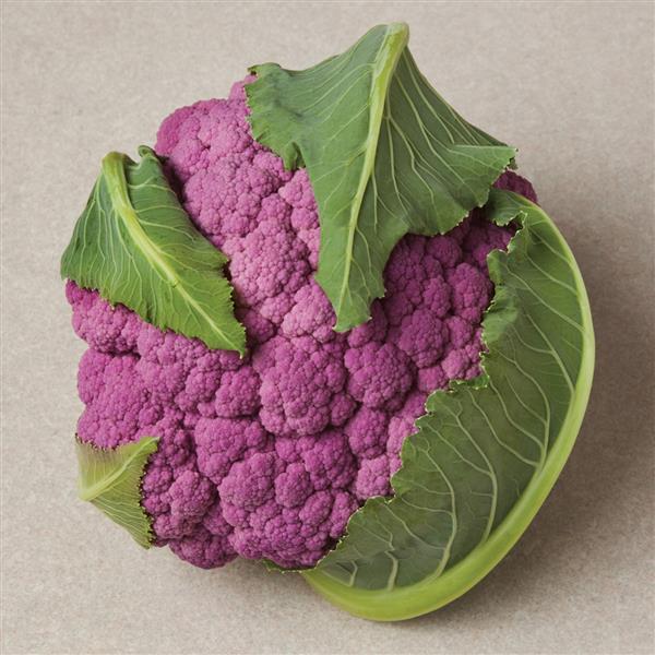 Cauliflower Seeds Cauliflower Depurple Vegetable Seeds