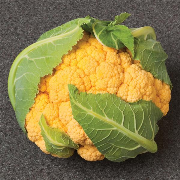 Cauliflower Seeds Flame Star Vegetable Seeds