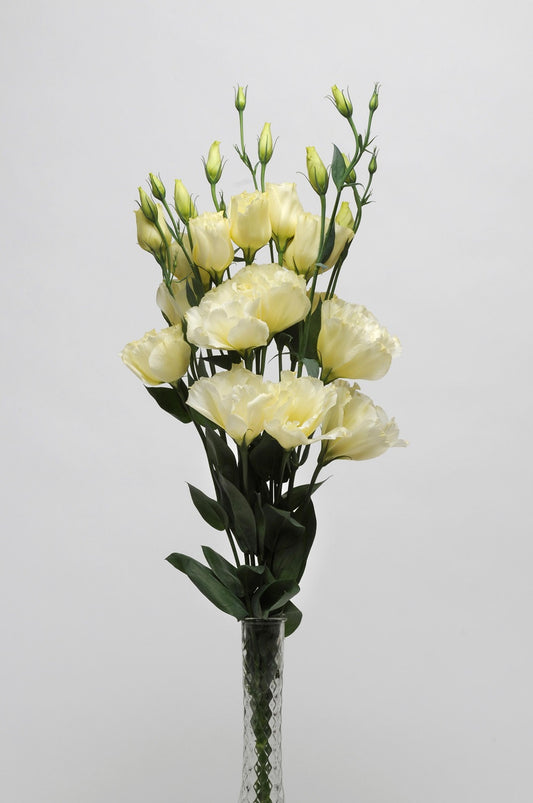 Bulk Lisianthus Seeds Lisianthus ABC Yellow Pelleted Seeds