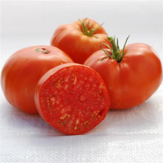 Tomato Seeds Brandywine Red Potato Leaf Heirloom