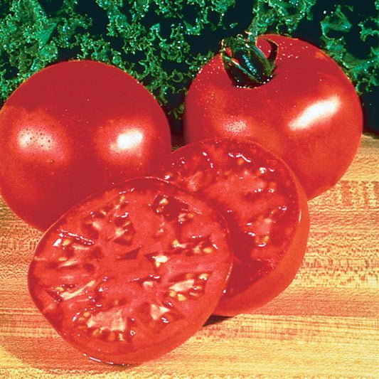 Tomato Seeds Burpee's Big Boy® Beefsteak Tomato