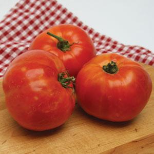 Tomato Seeds Tomato Delicious Beefsteak Tomato