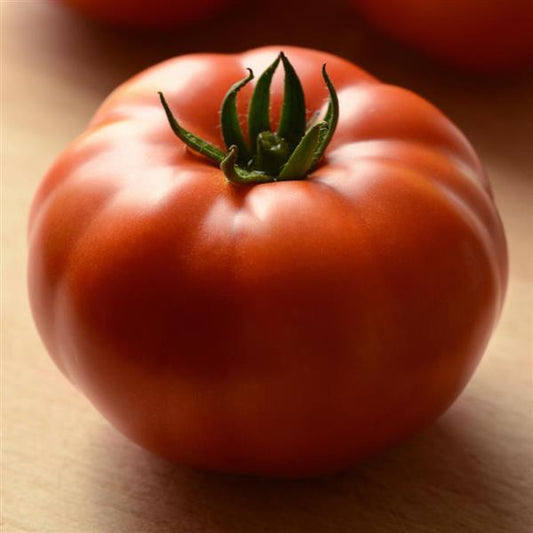 Tomato Seeds Heirloom Marriage™ Genuwine