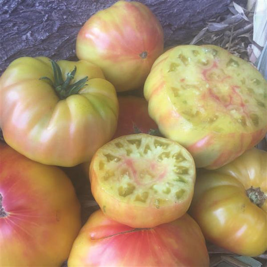 Tomato Seeds Tomato Striped German Heirloom Organic Seeds